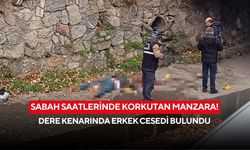 Sabah saatlerinde korkutan manzara! Dere kenarında şüpheli ölüm