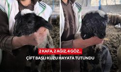 Sahibi o anları anlattı: "İlk gördüğümde şoke oldum ama durumu gayet iyi"