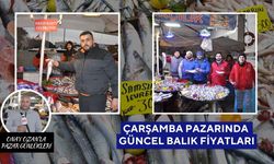Salihli Çarşamba Pazarı’nda Balık Fiyatları | Pazarın en ucuzu Hamsi