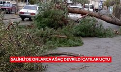 Salihli’de onlarca ağaç devrildi çatılar uçtu