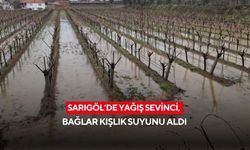 Sarıgöl’de yağış sevinci, bağlar kışlık suyunu aldı