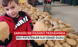 Sarıgöl’de pazarcı tezgâhında dev patatesler ilgi odağı oldu