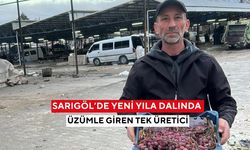 Sarıgöl’de yeni yıla dalında üzümle giren tek üretici