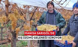 Manisa Sarıgöl’de kış üzümü geleneği sürüyor