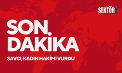 Adliye'de silahlı saldırı: Savcı, kadın hakimi vurdu