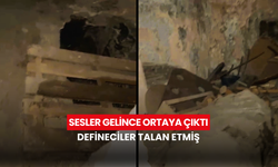 Sesler gelince ortaya çıktı... Defineciler talan etmiş