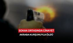 Sokak ortasında cinayet: Akraba kurşunuyla öldü