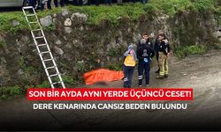 Son bir ayda aynı yerde üçüncü ceset! Dere kenarında cansız beden bulundu