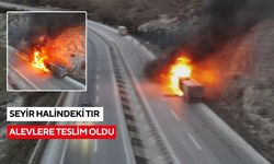 Seyir halindeki tır alevlere teslim oldu