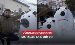 Tır şoföründen sanat eseri: Görenler gerçek sandı, mahalleli akın ediyor!