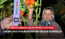 Üretici sabaha kadar nöbet tutuyor... Tek bir hata tüm emekleri bir gecede bitirebilir