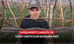 Yağışlar bitti, Sarıgöl’de üzüm üreticileri bağlara indi