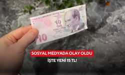 Vatandaşın başına gelen sosyal medyada olay oldu: İşte yeni 15 TL!