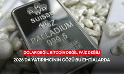 Yatırımda rota tamamen değişti: Finans devleri artık o iki nadir metalin peşine düştü!