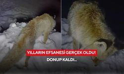 Yılların efsanesi gerçek oldu! Donup kaldı...