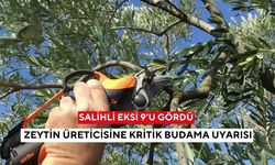 Salihli eksi 9’u gördü: Zeytin üreticisine kritik budama uyarısı