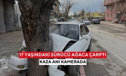 17 yaşındaki sürücünün korku dolu anları! Otomobil ağaca böyle çarptı...