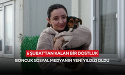 6 Şubat’tan kalan bir dostluk: Boncuk sosyal medyanın yeni yıldızı oldu