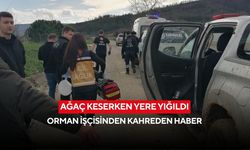 Ağaç keserken yere yığıldı: Orman işçisinden kahreden haber