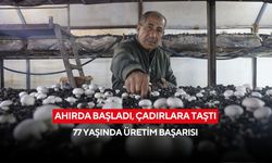 Ahırda başladı, çadırlara taştı: 77 yaşında üretim başarısı