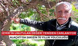 Alaçatı’da 70 yıllık sakız hafızası gün yüzüne çıktı... Anılar, emek ve reçine kokusu