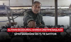 Altınını bozdurdu, ahırda üretime başladı! Şimdi sandığını 120 TL’ye satıyor