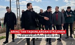 Arınç’tan taşkınlardan etkilenen tarım arazilerinde inceleme