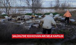 Salihli’de sel felaketi: 103 kovan arı sele kapıldı