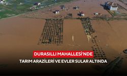 Durasıllı Mahallesi’nde tarım arazileri ve evler sular altında