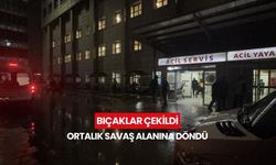 Baba ve oğulları iş yerinde dehşet saçtı