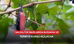 Salihli’de bağlarda budama ve terbiye kursu açılacak