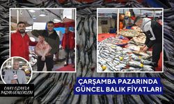 Salihli Çarşamba Pazarı’nda Balık Fiyatları | Hamsi, Kalamar, Levrek