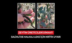 Zeytin üreticileri dikkat! Salihli’de halkalı leke için kritik uyarı