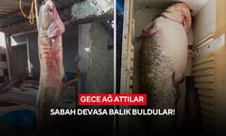 Gece ağ attılar! Sabah sudan çıkan dev şaşkına çevirdi