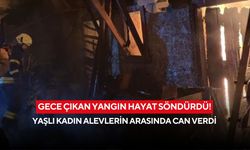 Gece çıkan yangın hayat söndürdü! Yaşlı kadın alevlerin arasında can verdi