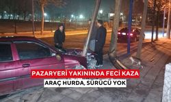 Gece yarısı şok! Direğe çarptı, sürücü sırra kadem bastı...