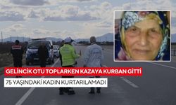Gelincik otu toplarken kazaya kurban gitti: 75 yaşındaki kadın kurtarılamadı