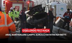 Gişelerde feci kaza: Araç bariyerlere çarptı, sürücü hayatını kaybetti