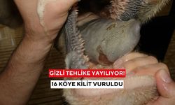 Gizli tehlike yayılıyor! Bir ilimizde şap paniği, 16 köye kilit vuruldu