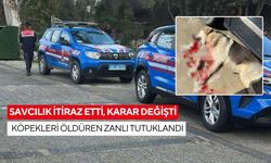 İki köpeği silahla öldürmüştü... Restoran işletmecisi cezaevinde