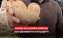 Manisa’da pazarda görülen kalp şeklindeki patates şaşırttı