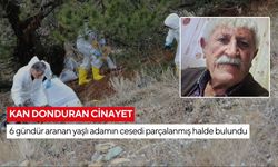 Kan donduran cinayet: Ceset çöp poşetlerinde bulundu