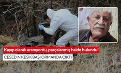 Kayıp olarak aranıyordu, parçalanmış halde bulundu! Cesedin kesik başı ormanda çıktı
