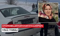 Otomobiller kafa kafaya çarpıştı: 1 ölü, 1 yaralı