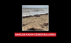 Sahilde kadın cesedi bulundu