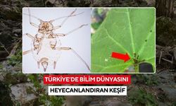 Türkiye’de bilim dünyasını heyecanlandıran keşif