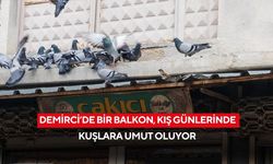 Demirci’de bir balkon, kış günlerinde kuşlara umut oluyor
