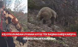 Kuş gözlemi yapan dağcı, kış uykusundan uyanan ayıyla karşı karşıya geldi... Tehlikeli anlar kamerada