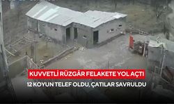 Kuvvetli rüzgâr felakete yol açtı: 12 koyun telef oldu, çatılar savruldu