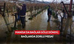 Manisa'da bağlar göle döndü, bağlarda zorlu mesai
